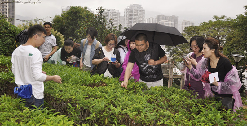 2025年6月茶艺师培训考证班哪里有开班?天晟茶艺培训学校